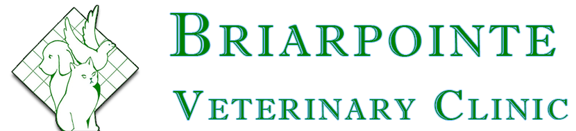 Circular Image