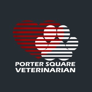 Circular Image