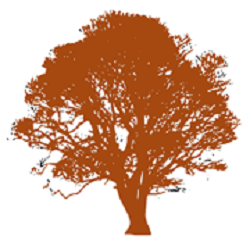Circular Image