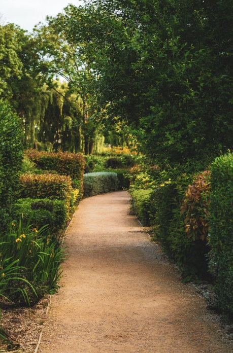 Wonderful Lawncare LLC